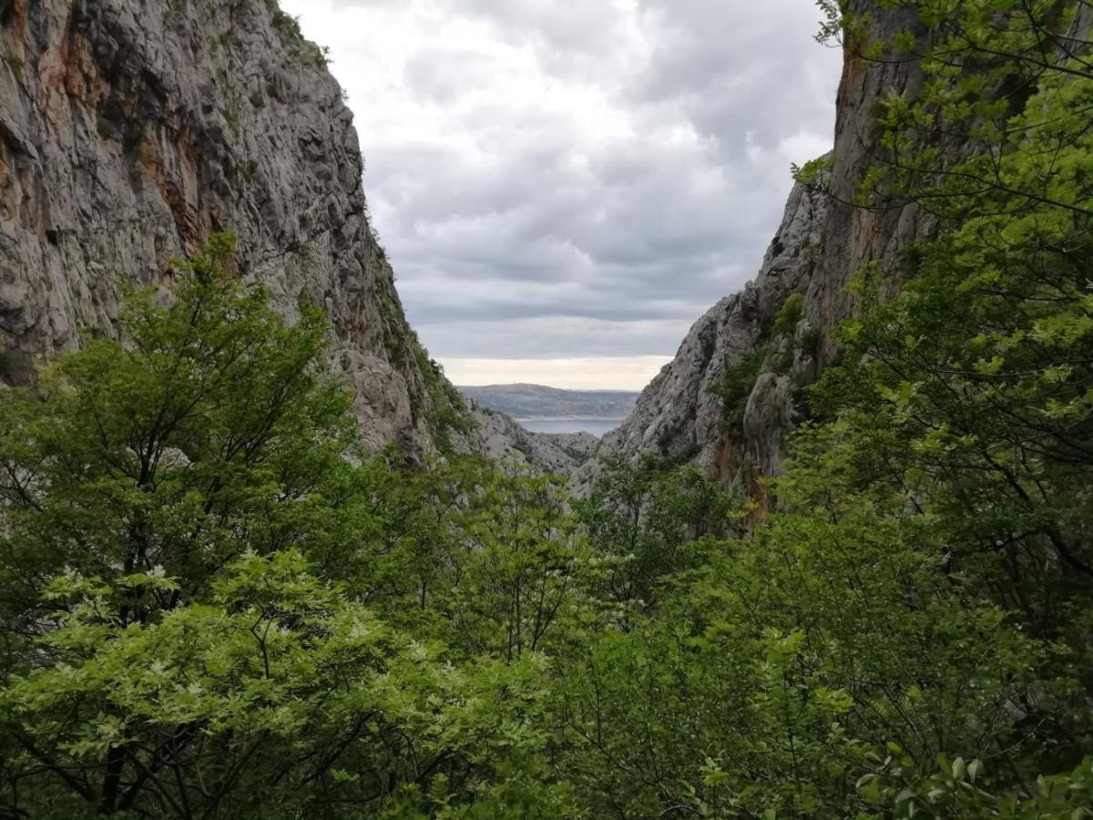 Green Point Paklenica Starigrad Paklenica Dış mekan fotoğraf